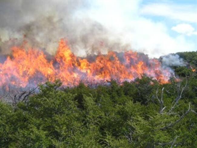 Alerta roja por incendios forestales en 14 departamentos
