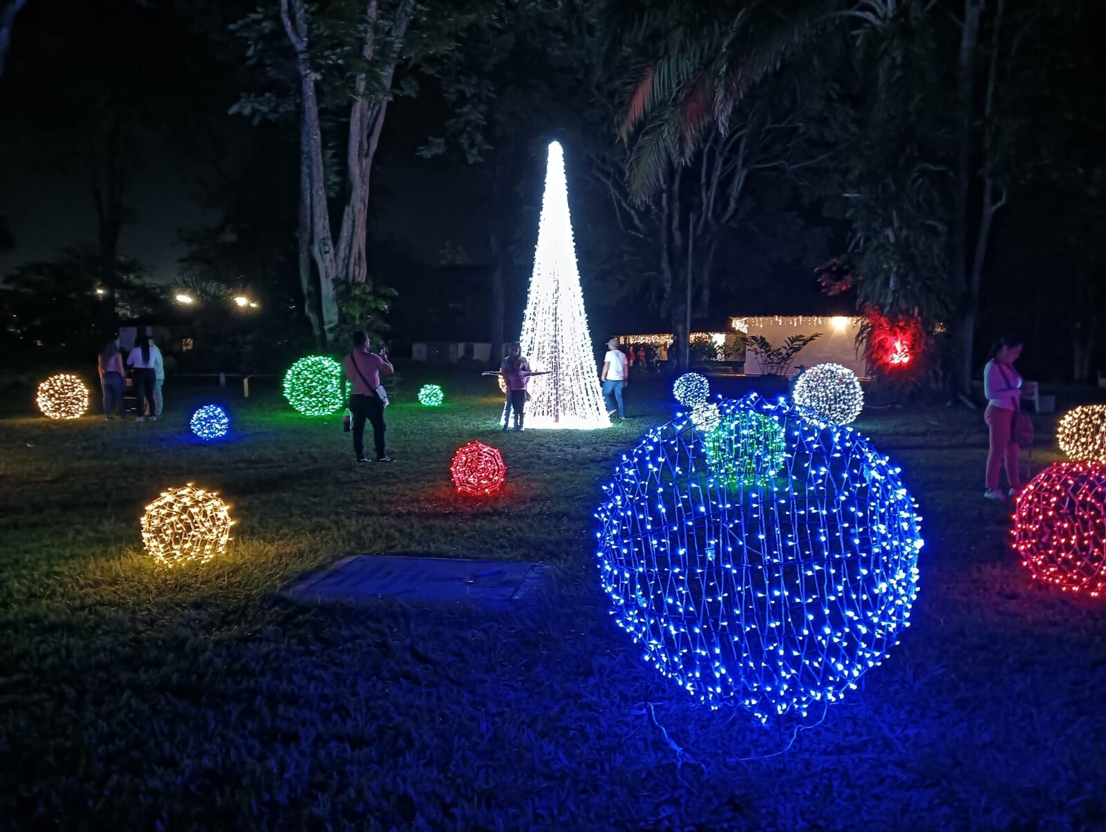 Hermoso arbolito de navidad en el parque Soledén de Comfenalco, Quindío. Foto: Adrián Trejos