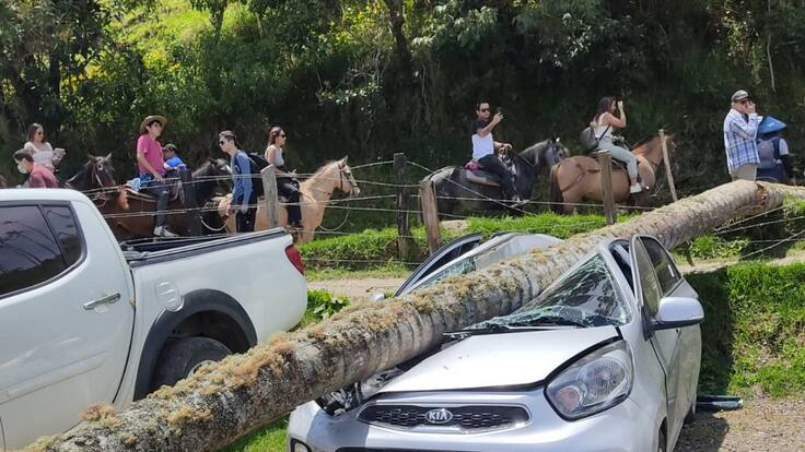 Director CRQ, José Manuel Cortés