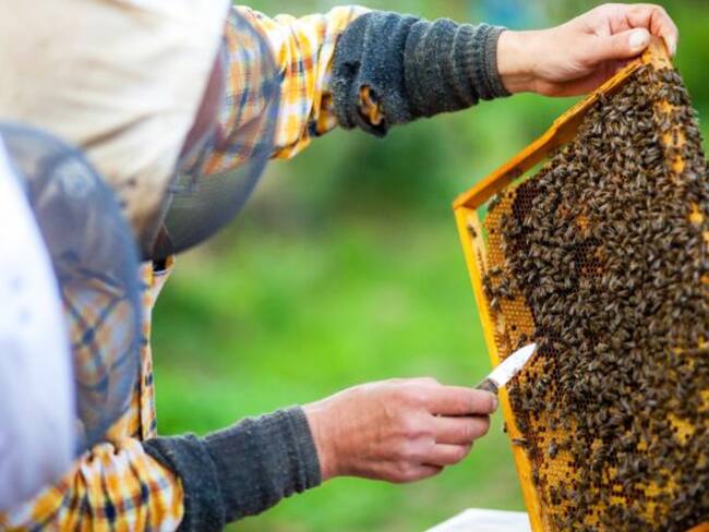 Este evento se celebrará los días 23, 24 y 25 de abril. Foto Redes sociales.