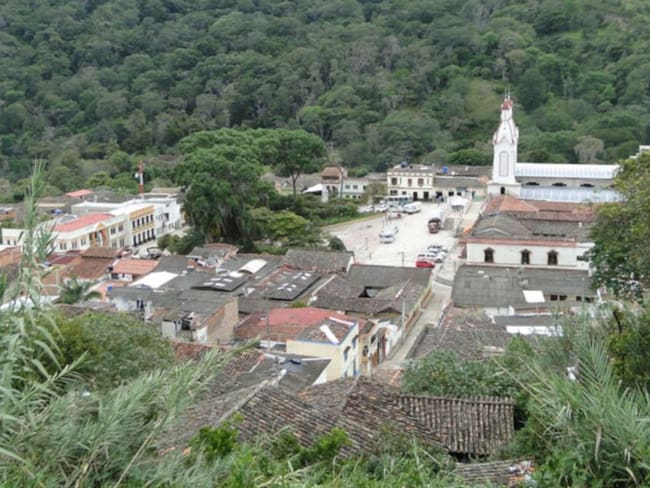 Presencia de puma atemoriza habitantes de San Andrés