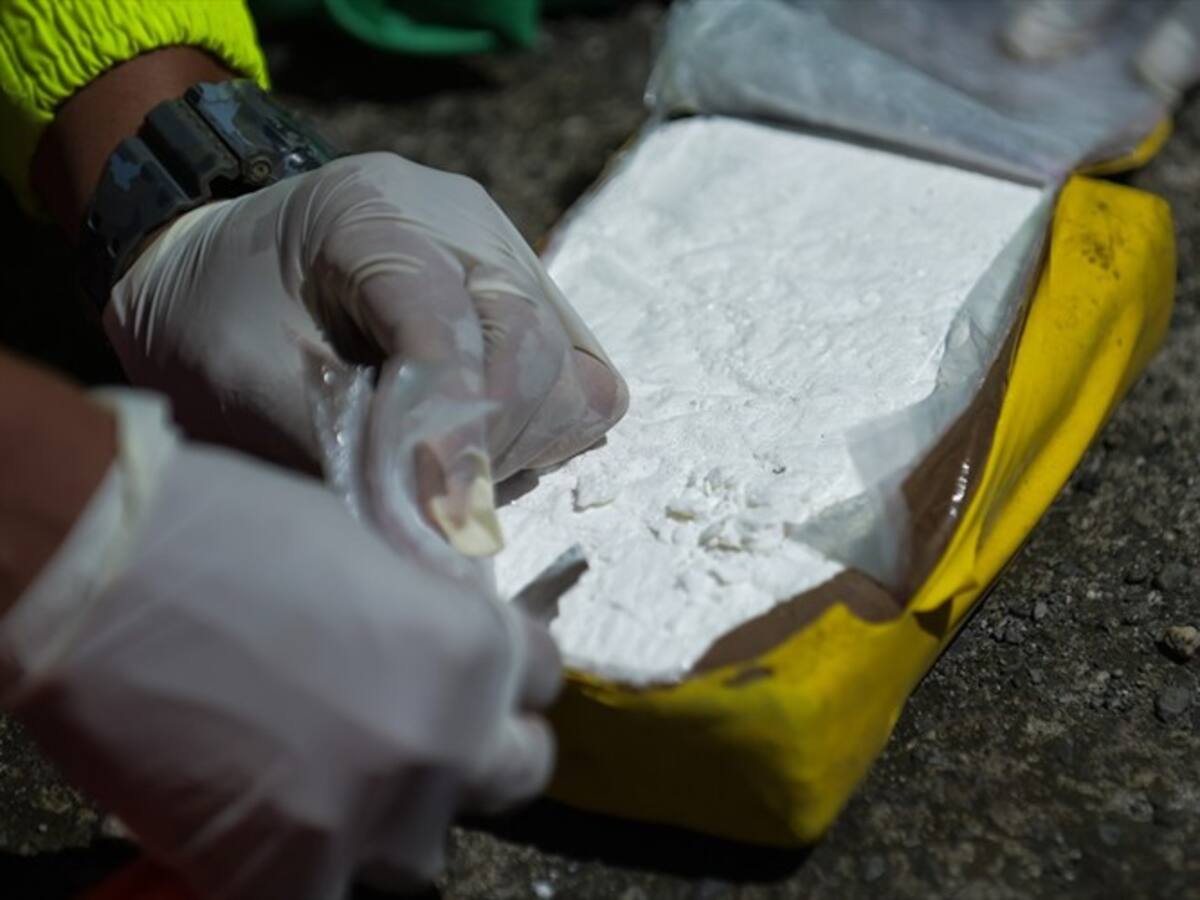 Ejército incautó 240 kilos de coca en Santa Marta