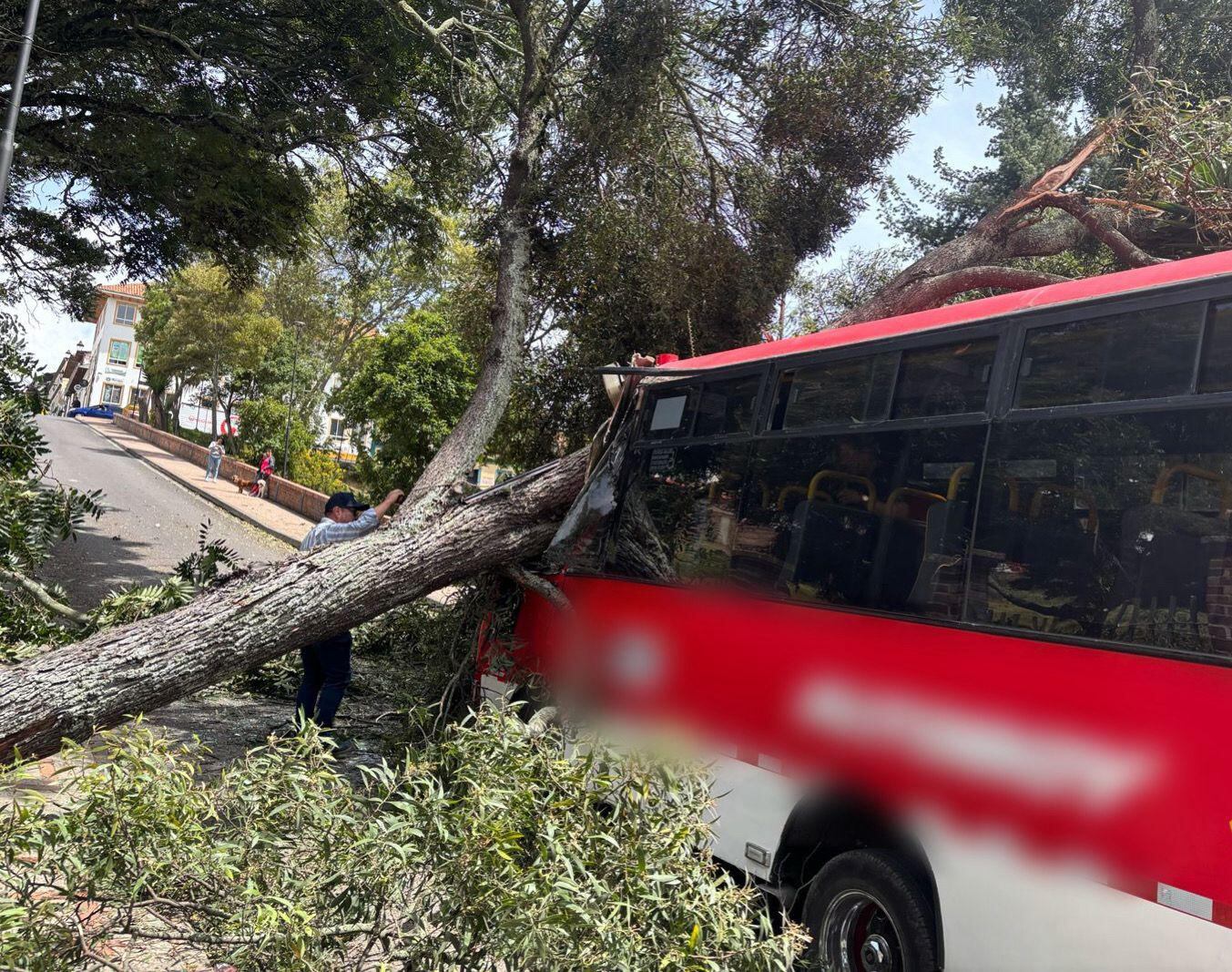 La caída de un árbol sobre un vehículo de servicio público se registró en el parque Santander de Tunja / Foto: Prensa Bomberos Tunja