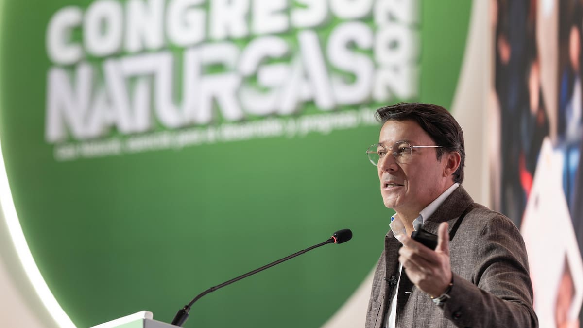 Registrador Nacional anunció robusto plan de auditorías para elecciones del 31 de mayo