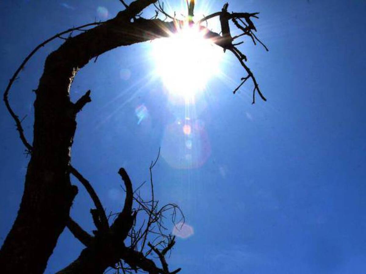 Carder hace un llamado a los gobiernos locales a tomar medidas por fenómeno ‘El Niño’