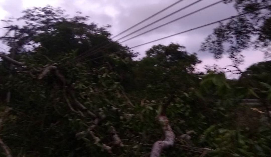 Seis comunidades de Sucre y Bolívar sin energía eléctrica por las lluvias 