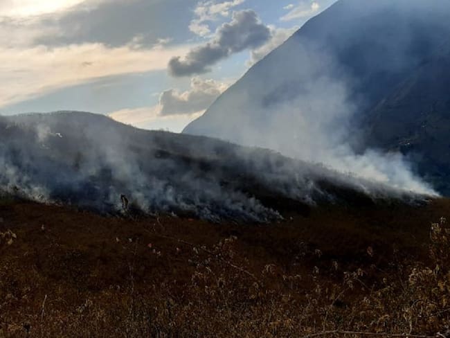 Después de tres días se logró apagar el incendio forestal en El Cerrito