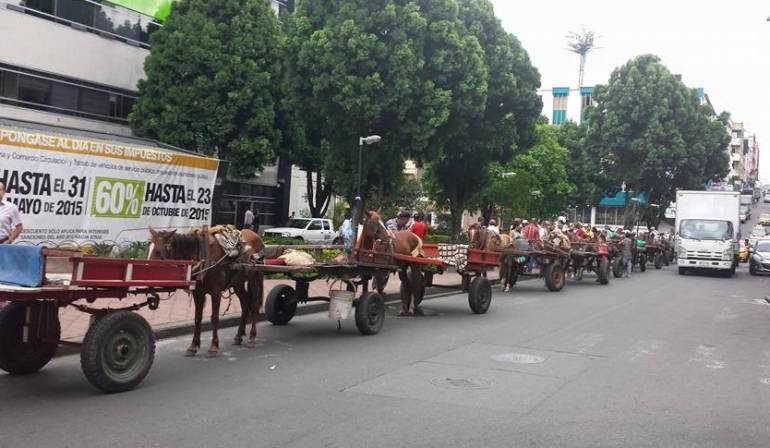 En noviembre ya no habrá caballos trabajando.