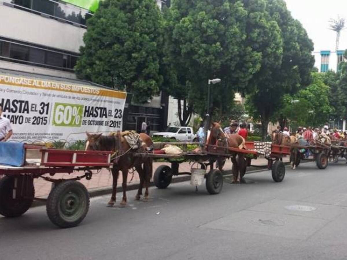 En noviembre ya no habrá vehículos de tracción animal en Armenia: Setta