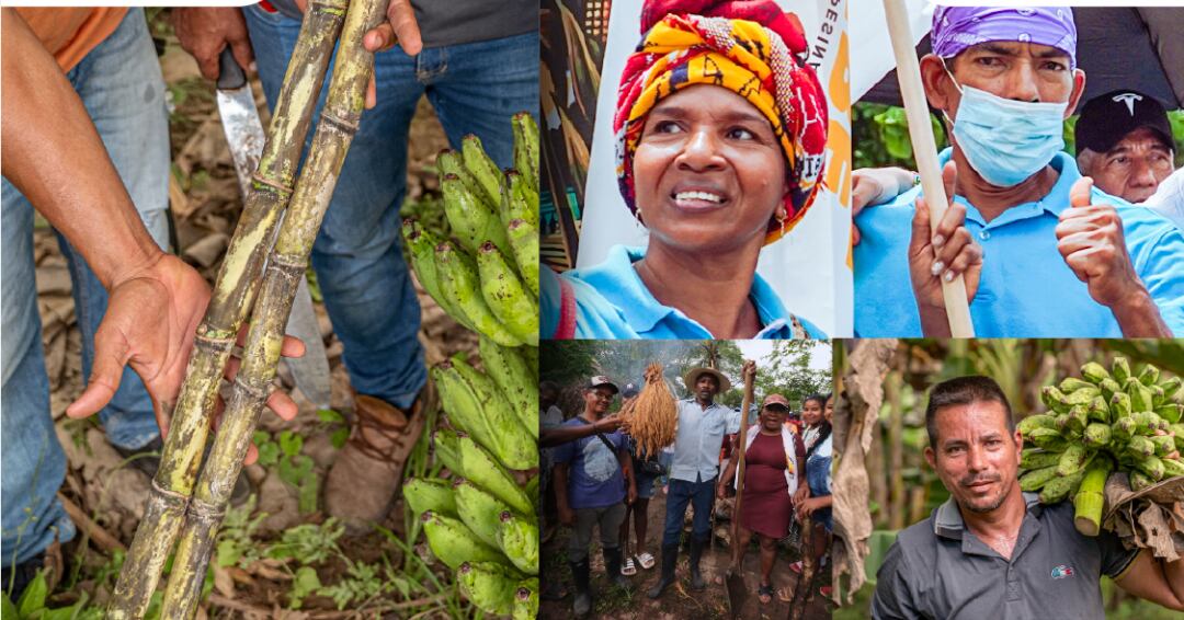 Agencia Nacional de Tierras