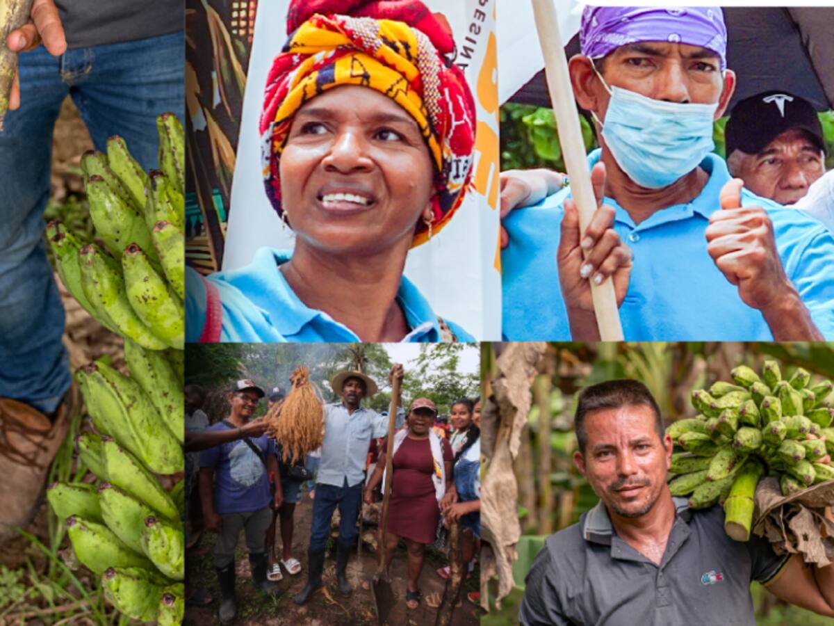 ANT ha implementado cambios internos para compra efectiva de tierras para campesinos