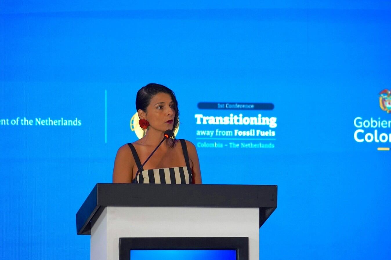 Foto:Ministra de Ambiente y Desarrollo Sostenible de Colombia (e), Irene Vélez Torres