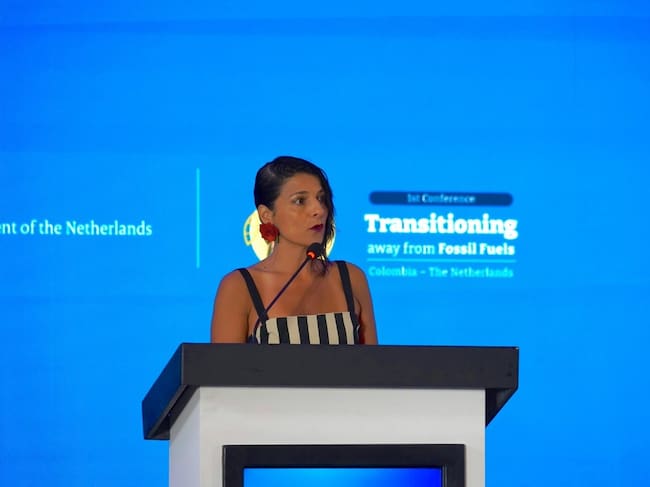 Foto:Ministra de Ambiente y Desarrollo Sostenible de Colombia (e), Irene Vélez Torres