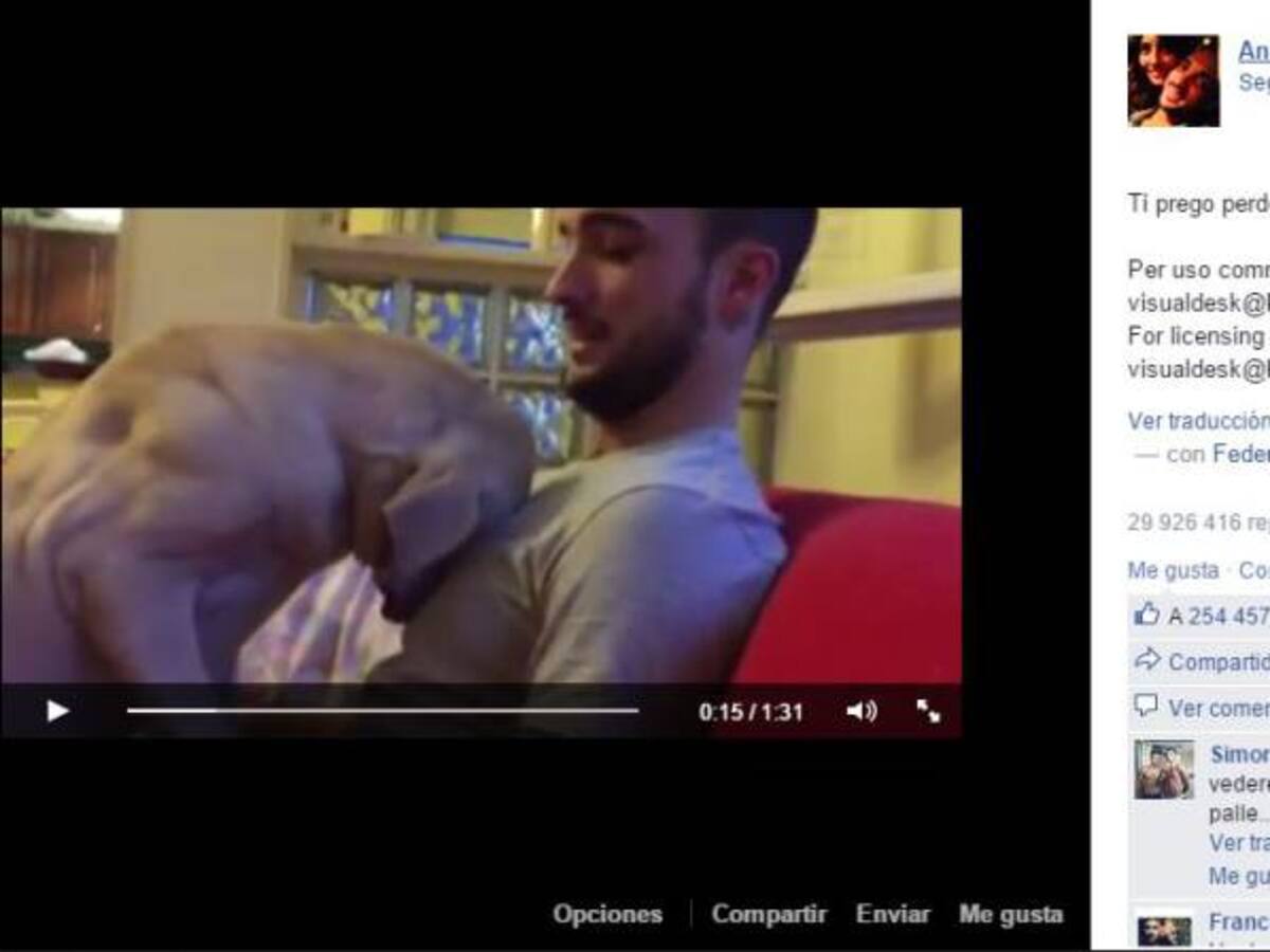 Perro arrepentido ha conquistado a 30 millones de personas en Facebook