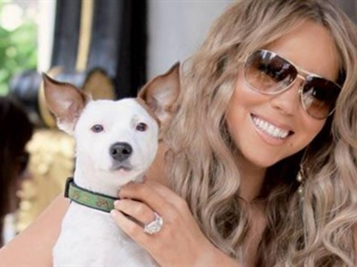Mariah Carey demandada por no pagar la cuenta a veterinaria de sus mascotas