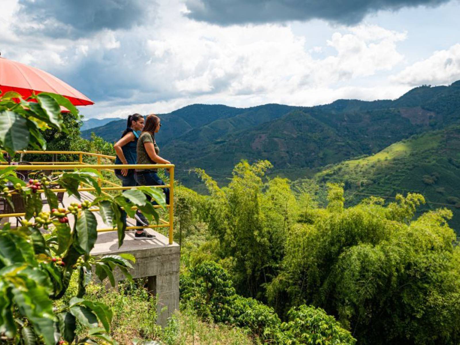 Risaralda es el quinto destino turístico -Gobierno de Risaralda.