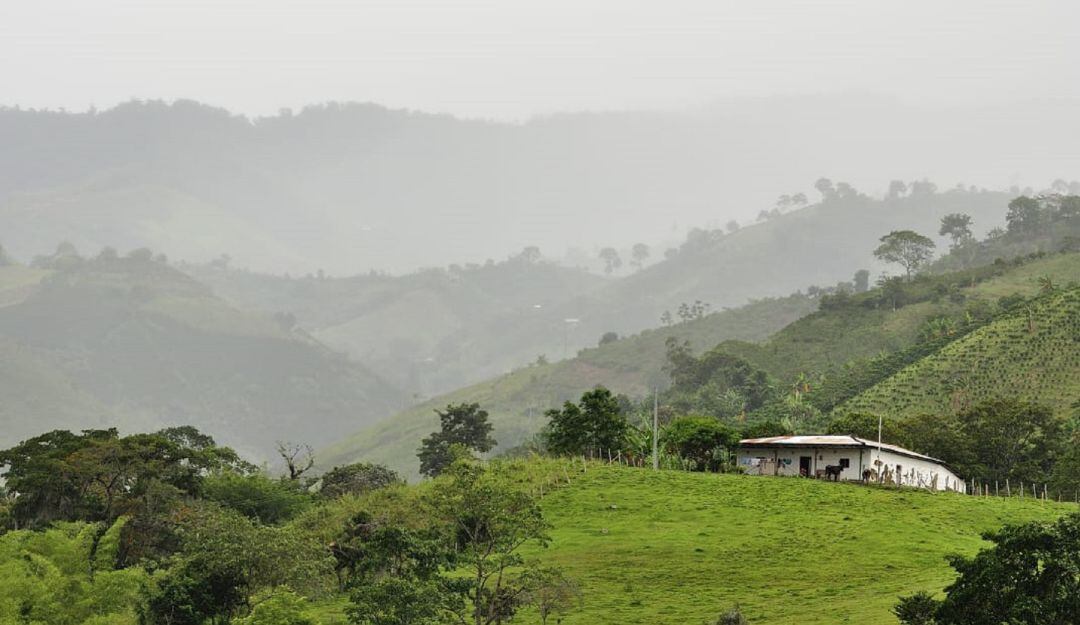 Entes  como Ministerio de Ambiente y Desarrollo Sostenible, la FAO, el IDEAM,  la CAM, compartirán experiencias  en  tema como es la agroclimatología.