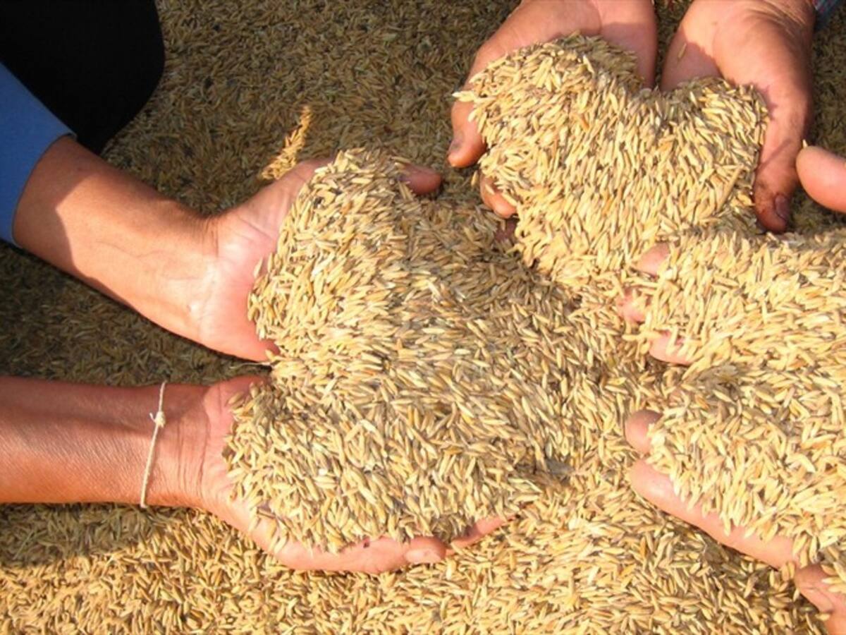 Fundación Olímpica repartirá mercados para 100.000 familias colombianas