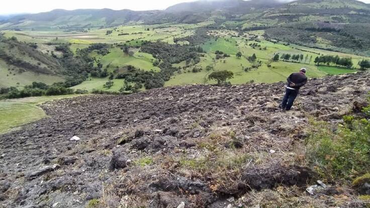 Destruyeron varios frailejones en el Páramo del Almorzadero
