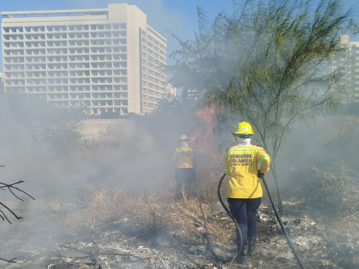 Alerta por aumento de incendios forestales: ya se han atendido 550 emergencias en 2026