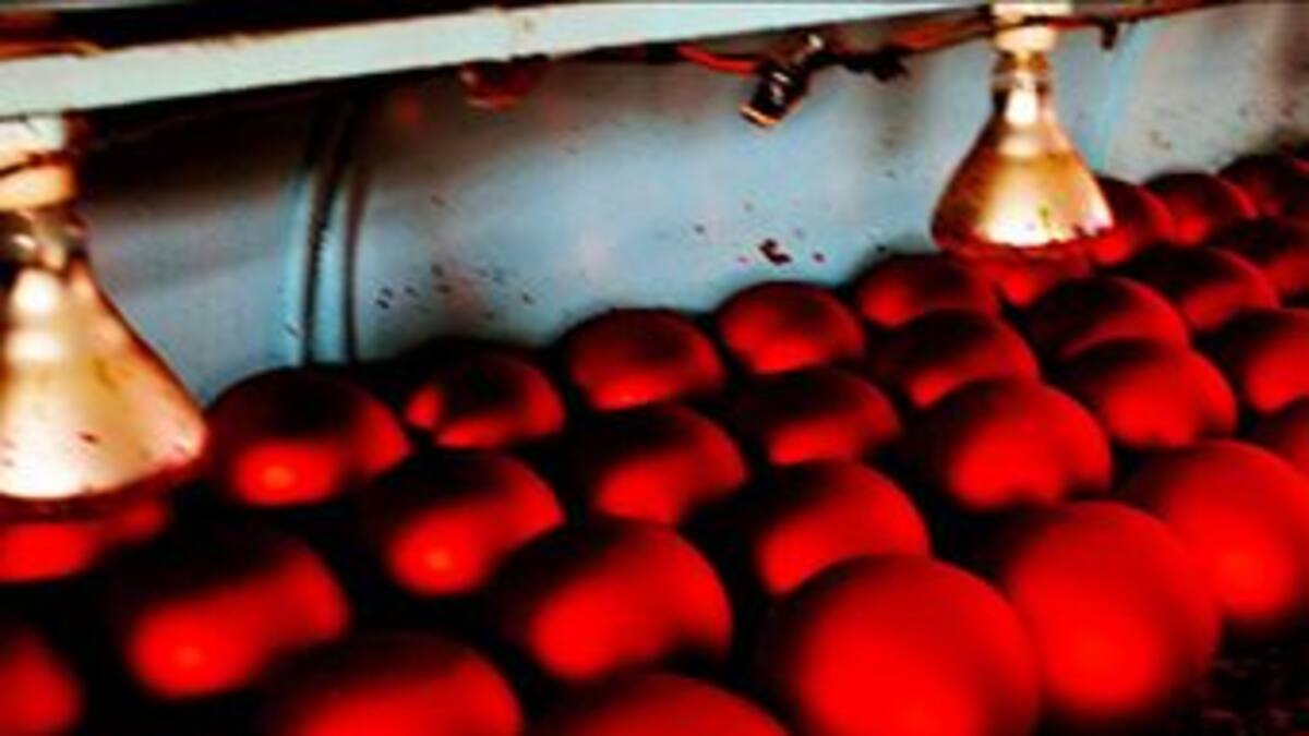 Nosotros proponemos el tema, tú mandas las fotos