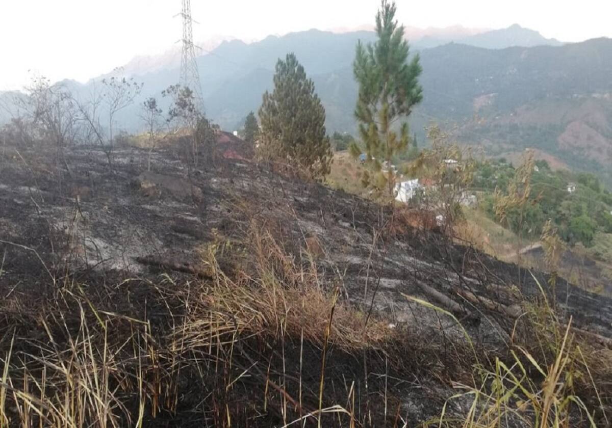 Cerro de Cristo Rey, luego del incendio forestal