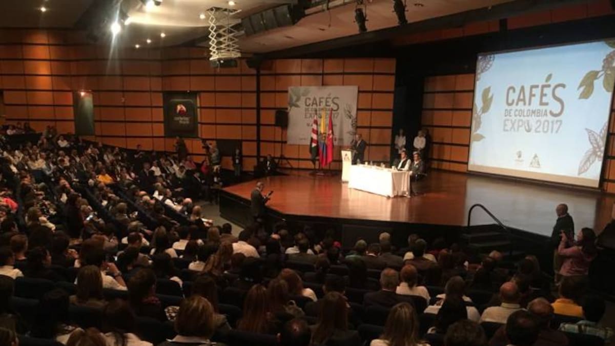 Ganancias por la última cosecha son las más altas en la historia: Fedecafé