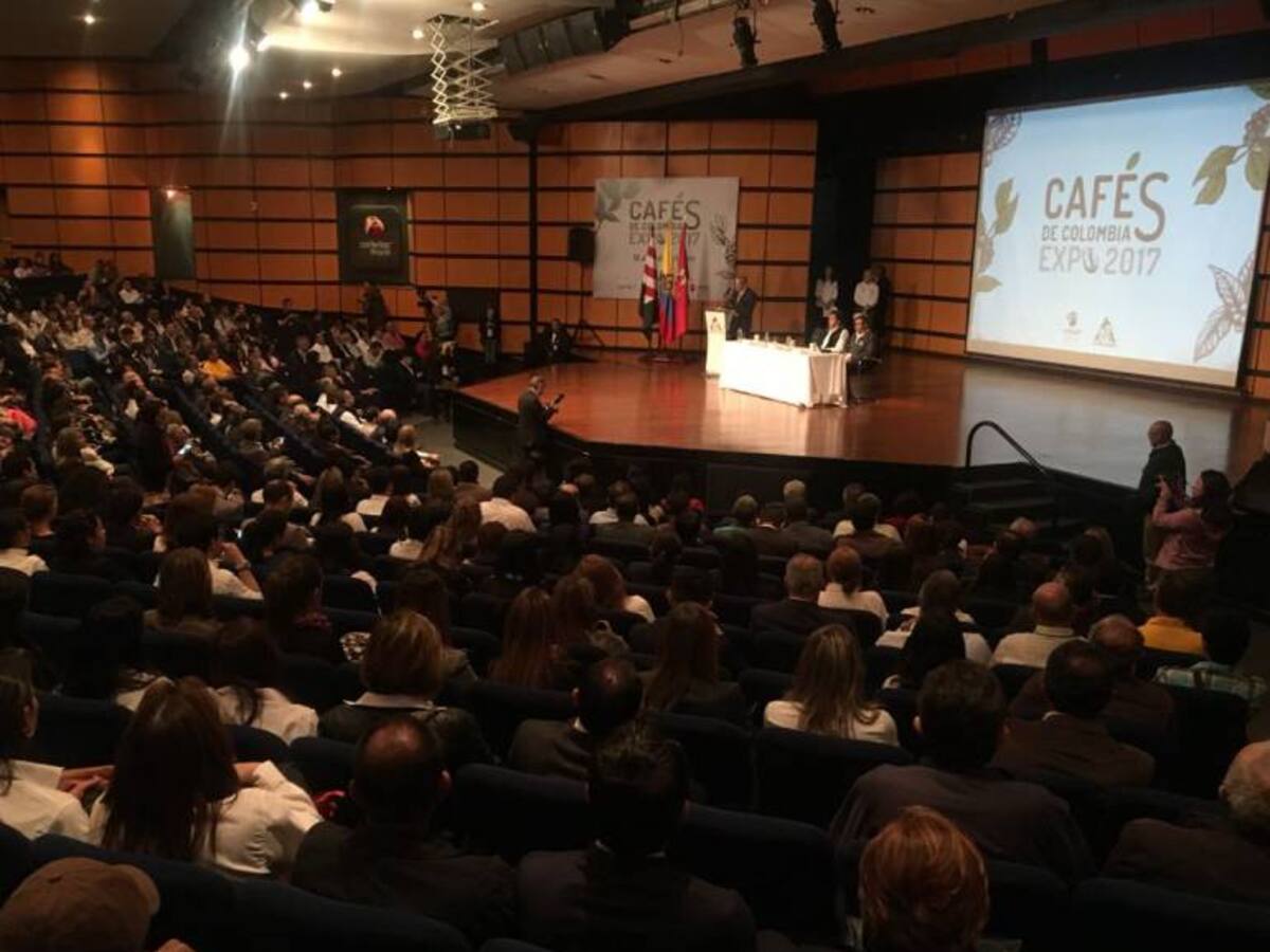 Ganancias por la última cosecha son las más altas en la historia: Fedecafé