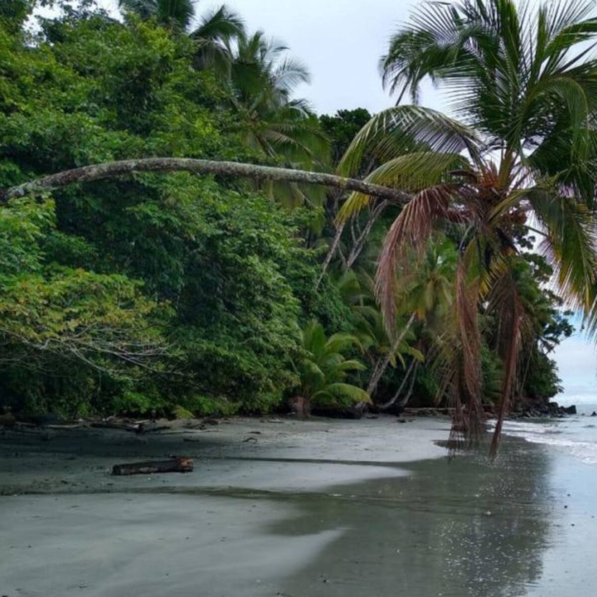 Naufragan tres nicaragüenses en aguas del Pacífico. Tres días a la deriva