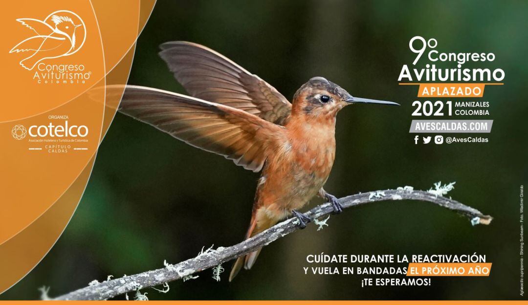 aplazan el 9° Congreso de Aviturismo de Manizales