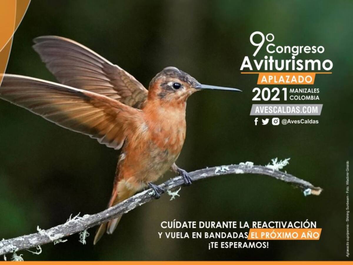 Pérdidas millonarias por aplazamiento del Congreso de Aviturismo