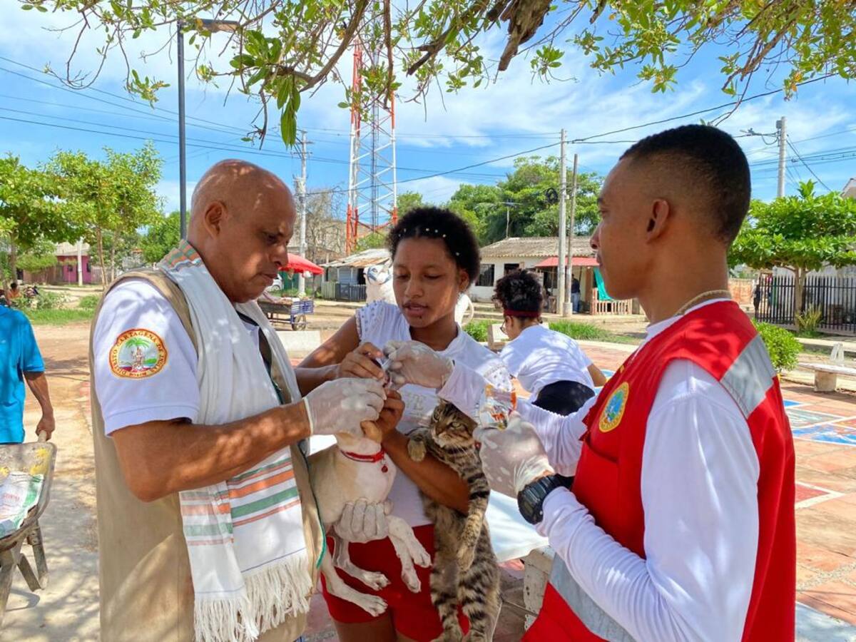 Umata pidió denunciar hechos de violencia animal en Cartagena