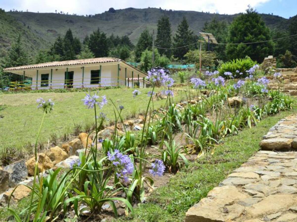 Mujeres de Medellín celebrarán la importancia de su labor en el campo