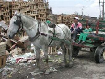 Vehículo de tracción animal. El Tiempo