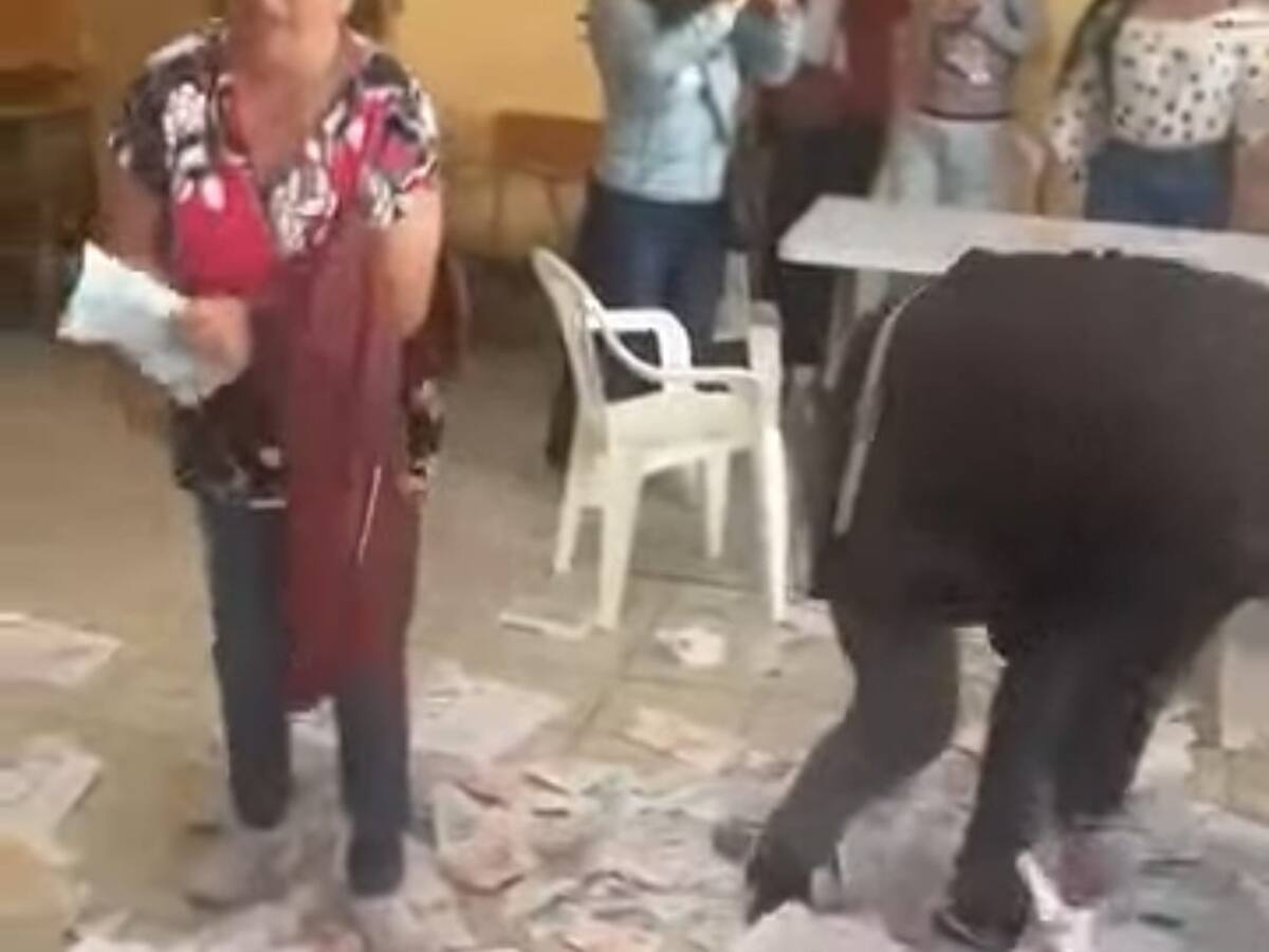 En Santiago municipio de Putumayo destruyen tarjetones