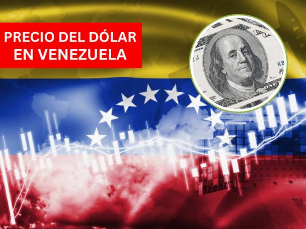 Precio del dólar en Venezuela HOY 4 de noviembre: esta es la cifra que reporta el BCV
