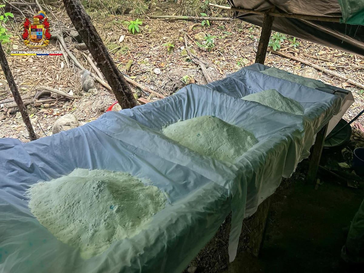 Golpe al narcotráfico en Boyacá debilita finanzas del ELN