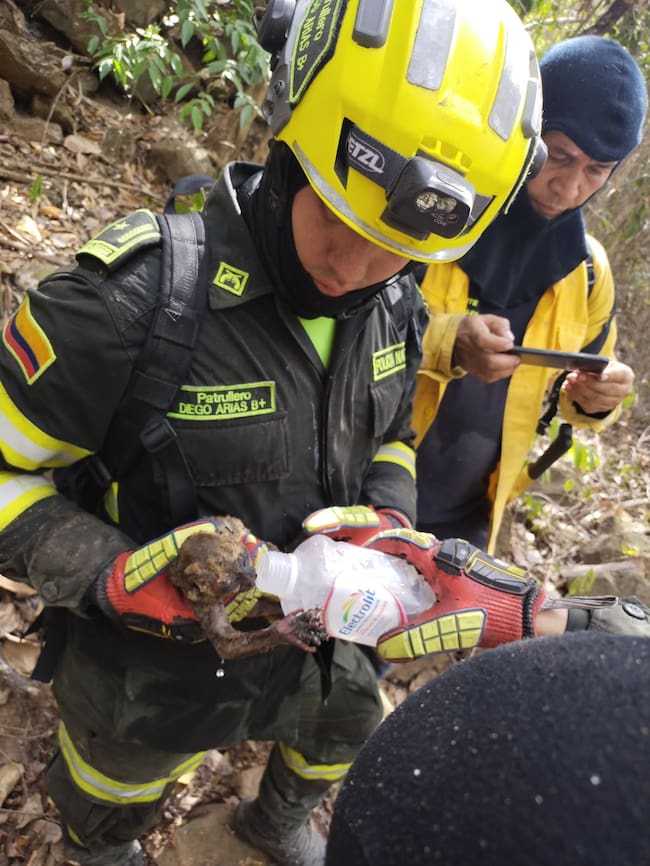 Más de 150 soldados y seis helicópteros mantienen operativo contra incendio en Villa de Leyva. Crédito: MinDefensa.