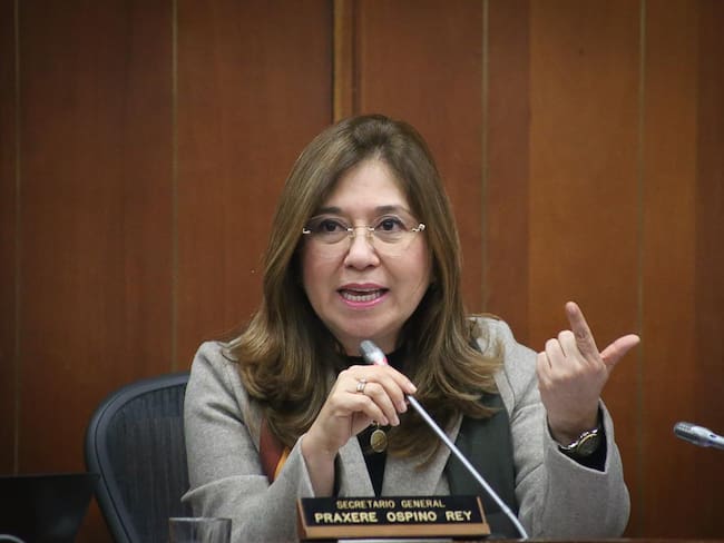 “Dilian no nos sugirió nada”: Hurtado sobre supuesta “traición” al Gobierno por votación de consulta