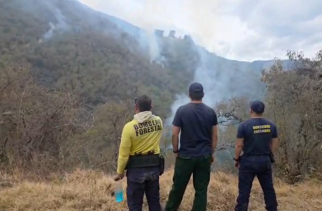 Incendio forestal el zona rural del municipio de Buga / Foto: Gobernación del Valle del Cauca