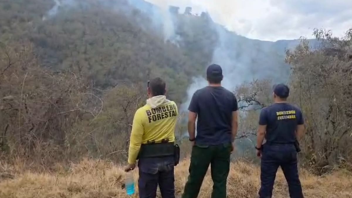 Autoridades en el Valle del Cauca gestionan apoyo aéreo para controlar las llamas en zonas de páramo