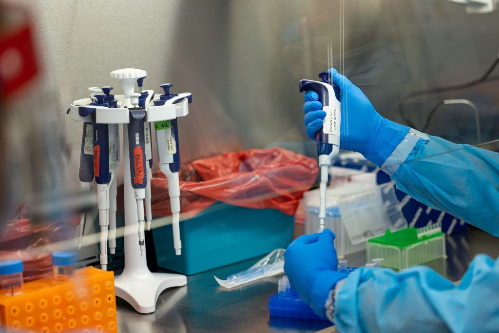 MPOX es una emergencia sanitaria internacional. ( Foto: Getty )