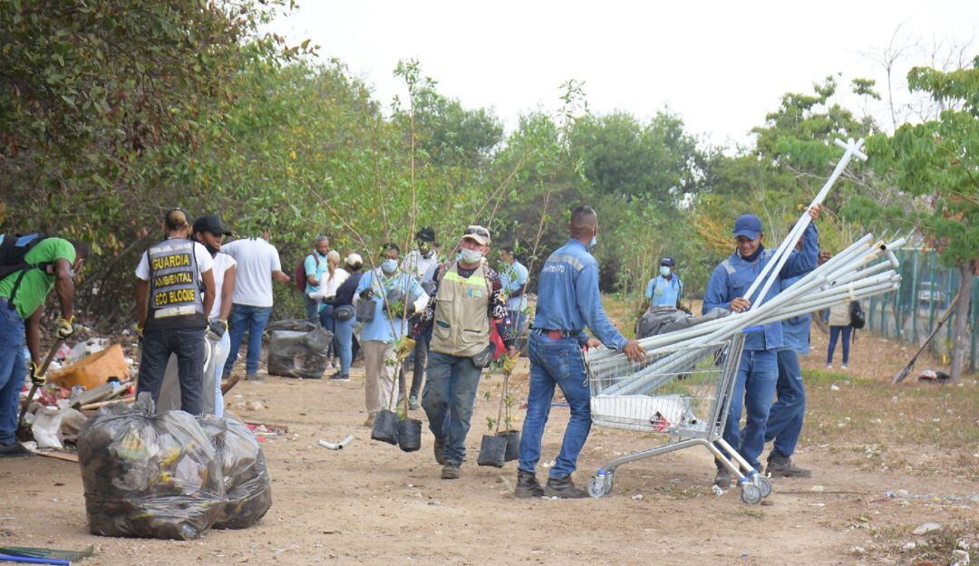 Ciénaga de las Quintas