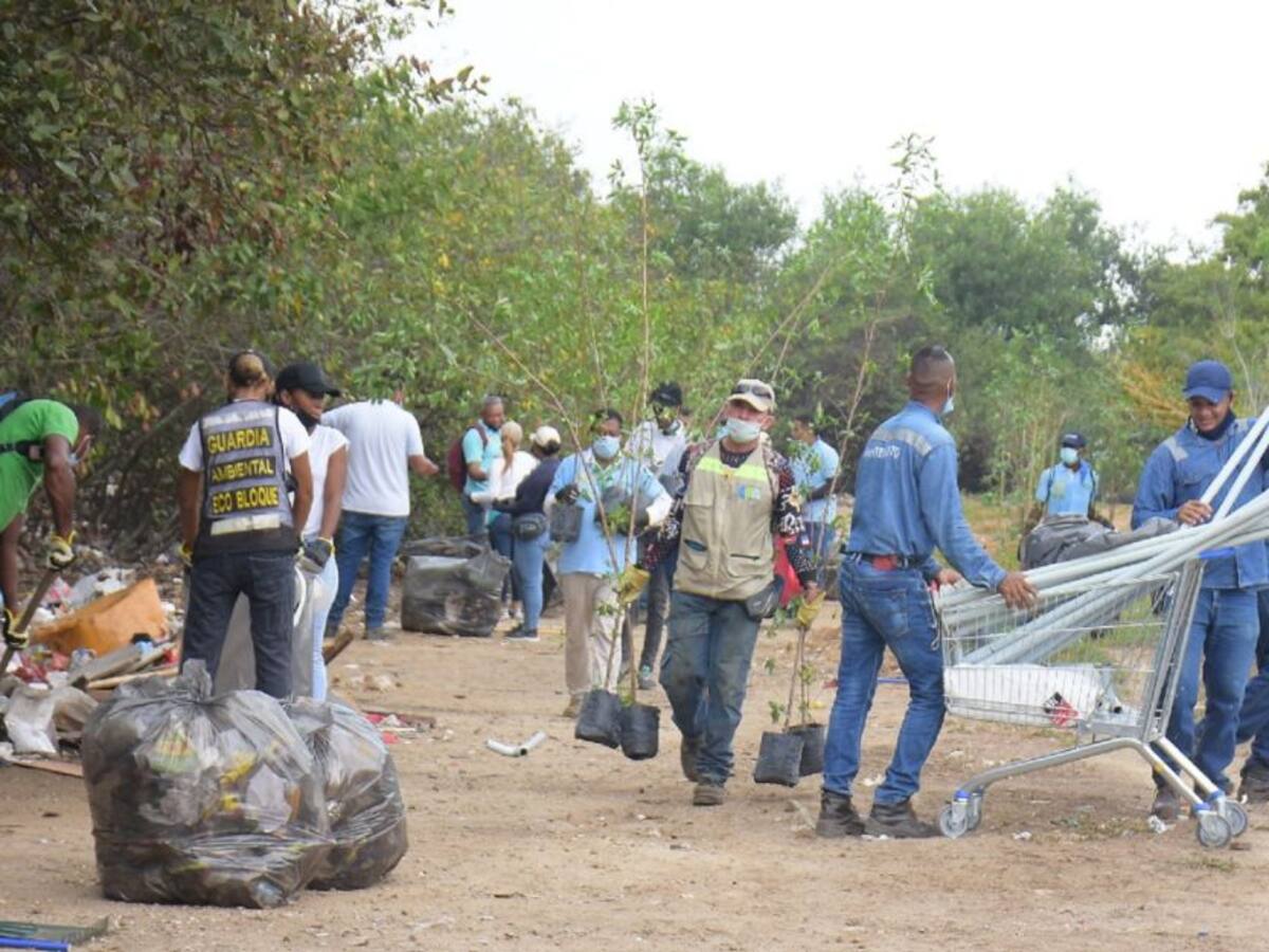 Realizaron intervención a orillas de la Ciénaga de las Quintas