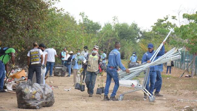 Ciénaga de las Quintas