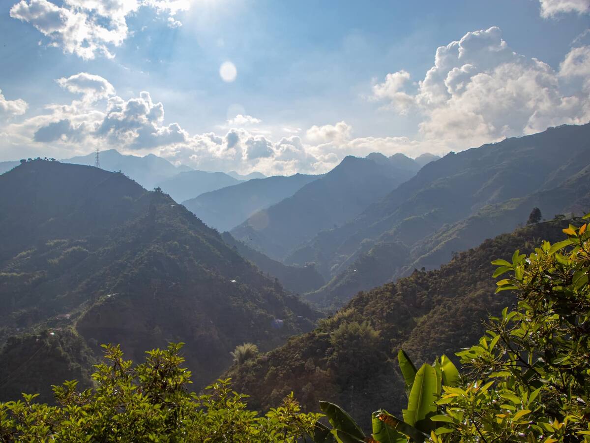 Viviendas y cultivos afectados por las lluvias en Manzanares
