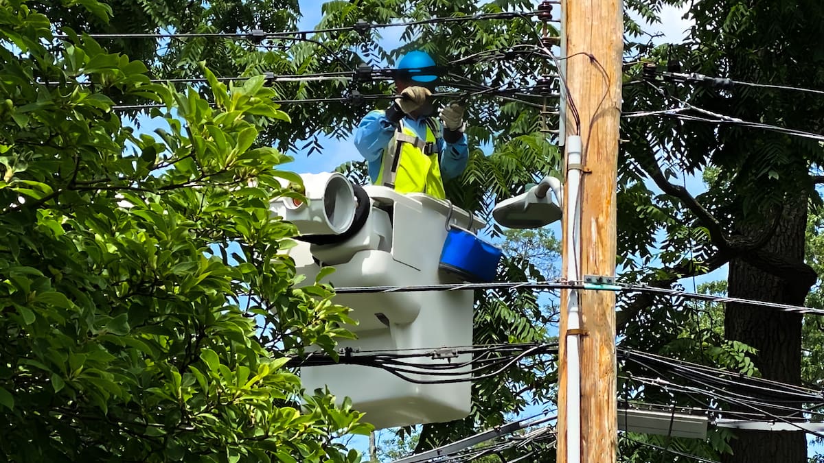 Wilton Torres, jefe de área de gestión operativa de la electrificadora de santander