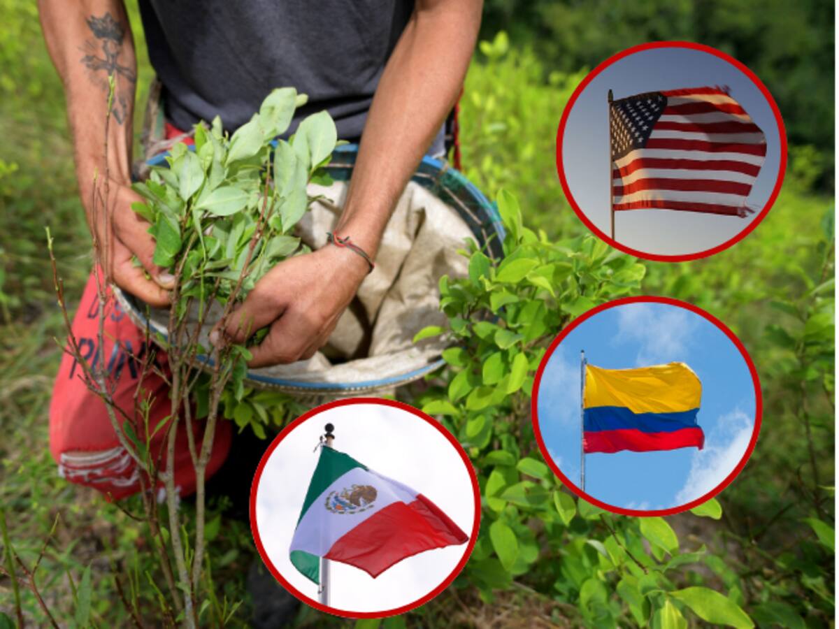 Narcos mexicanos podrían desplazar a Colombia como productora clave de cocaína