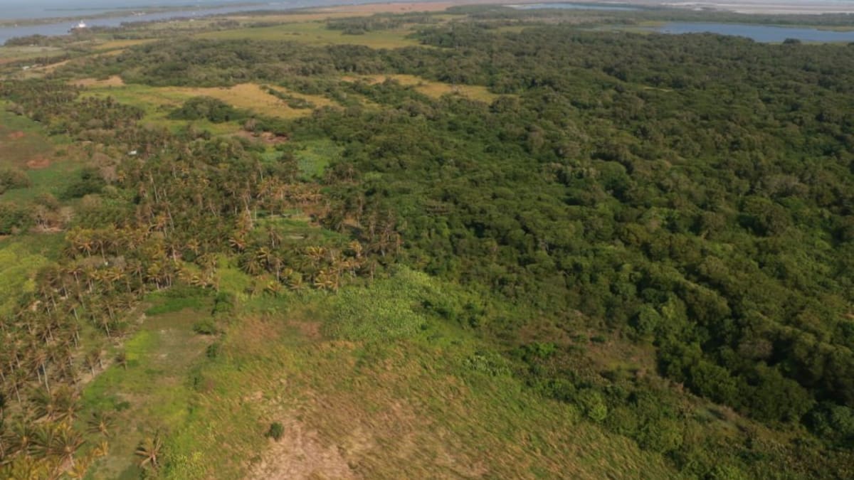 MinAmbiente anuncia estrategia para mitigar incendios en Isla Salamanca