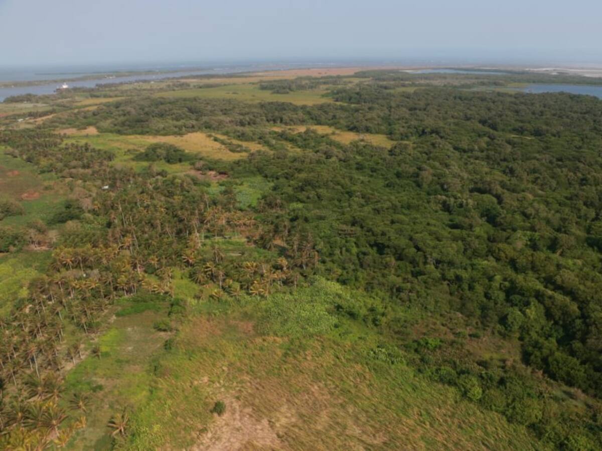 MinAmbiente anuncia estrategia para mitigar incendios en Isla Salamanca